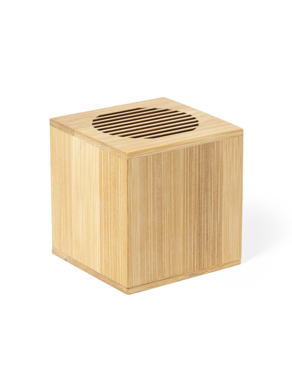 Haut-Parleur Teoden