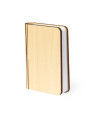 Lampe Joneson
