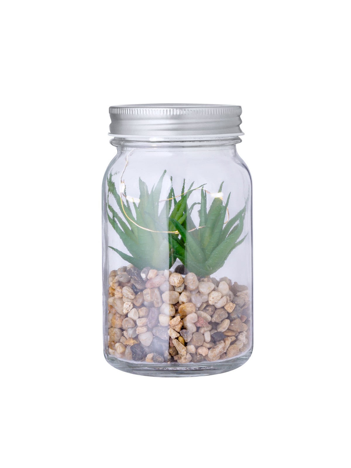 Plante Décorative Kyala