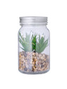 Plante Décorative Kyala