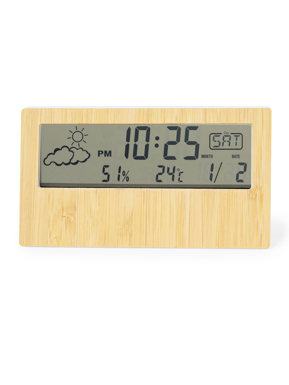 Station Météo Roamer