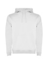 Sweat-shirt à capuche bicolore homme URBAN