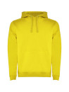 Sweat-shirt à capuche bicolore homme URBAN