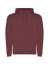 Sweat-shirt à capuche bicolore homme URBAN
