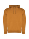 Sweat-shirt à capuche bicolore homme URBAN