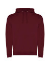 Sweat-shirt à capuche bicolore homme URBAN