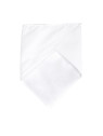 Foulard Bandana