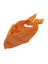 Foulard Bandana