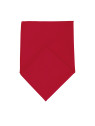Foulard Bandana