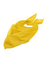 Foulard Bandana