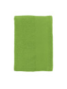 Serviette Island 100