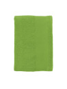 Serviette Island 30