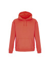 Sweat Condor