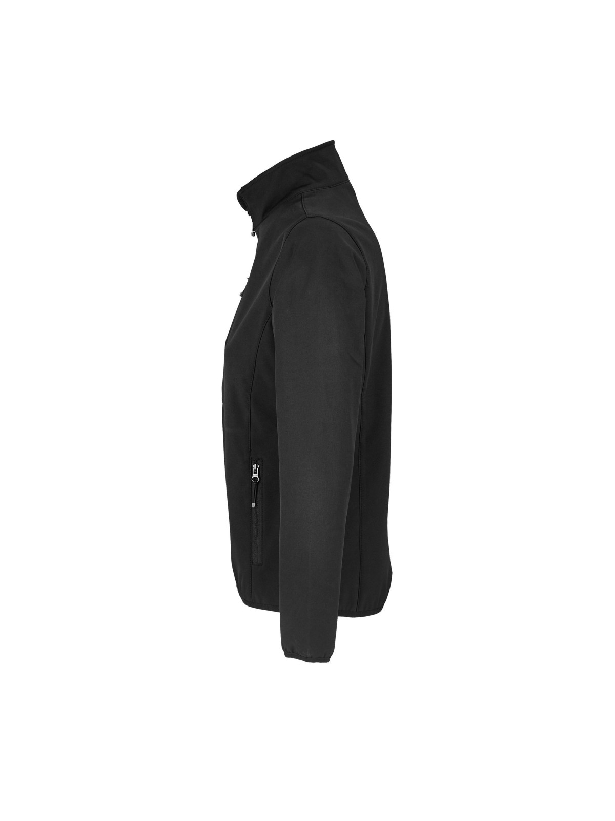 Veste Falcon Women