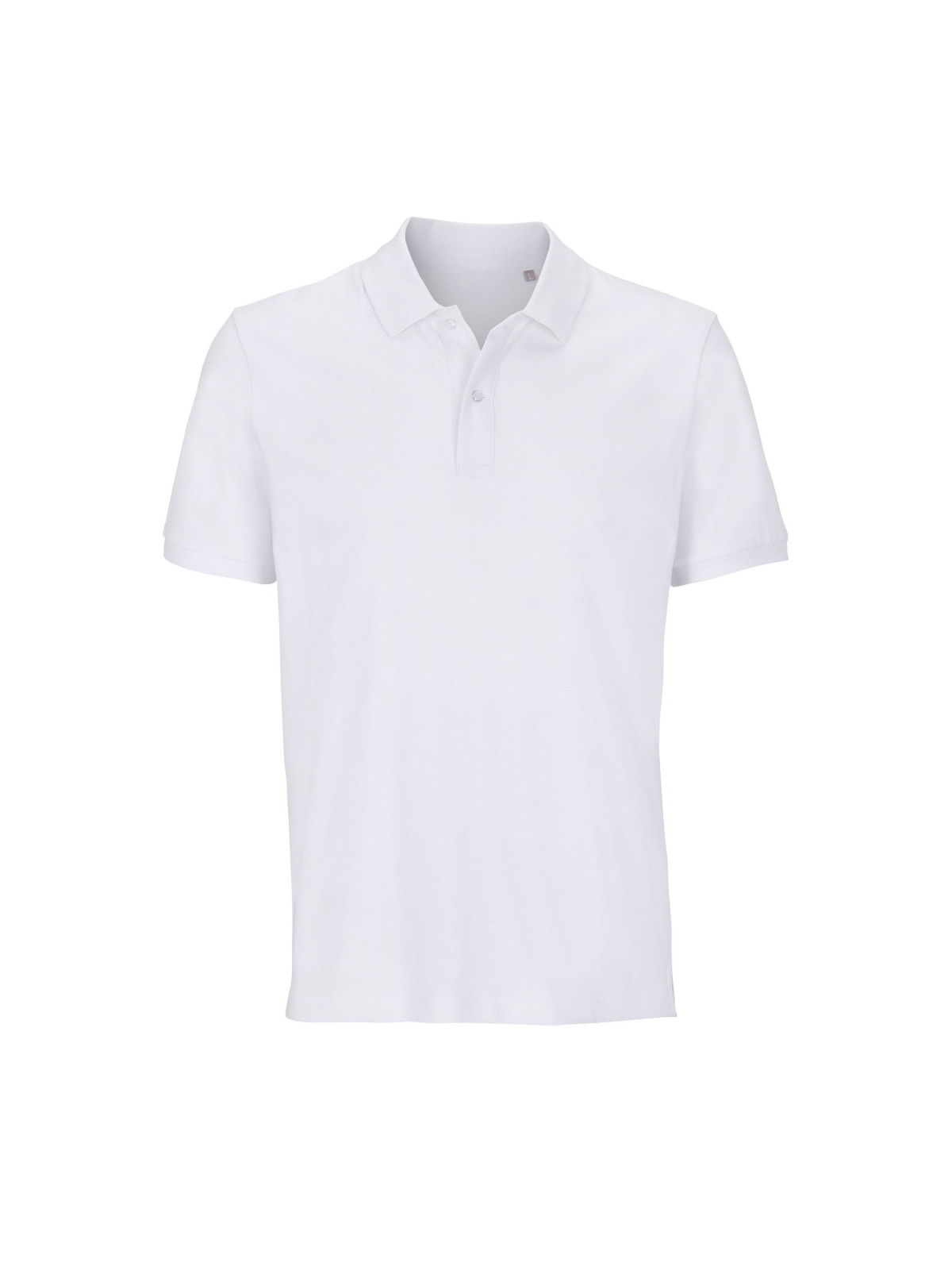 Polo Pegase