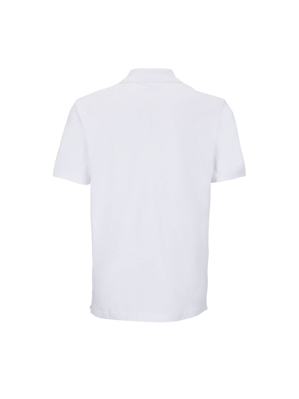 Polo Pegase