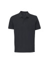 Polo Pegase