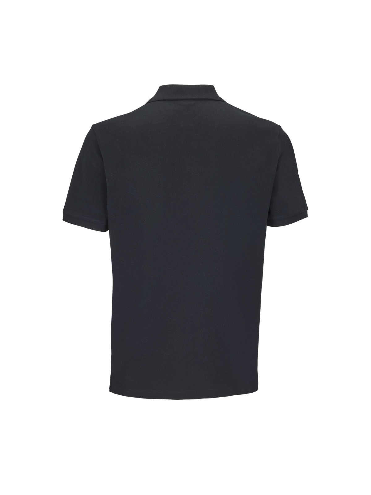 Polo Pegase