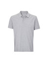 Polo Pegase