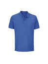 Polo Pegase