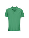Polo Pegase