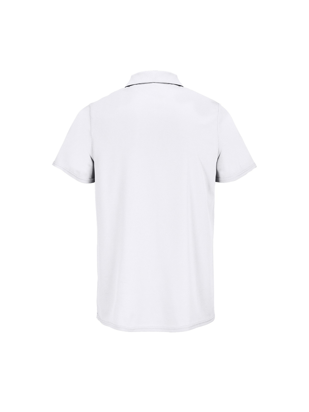 Polo Pitcher