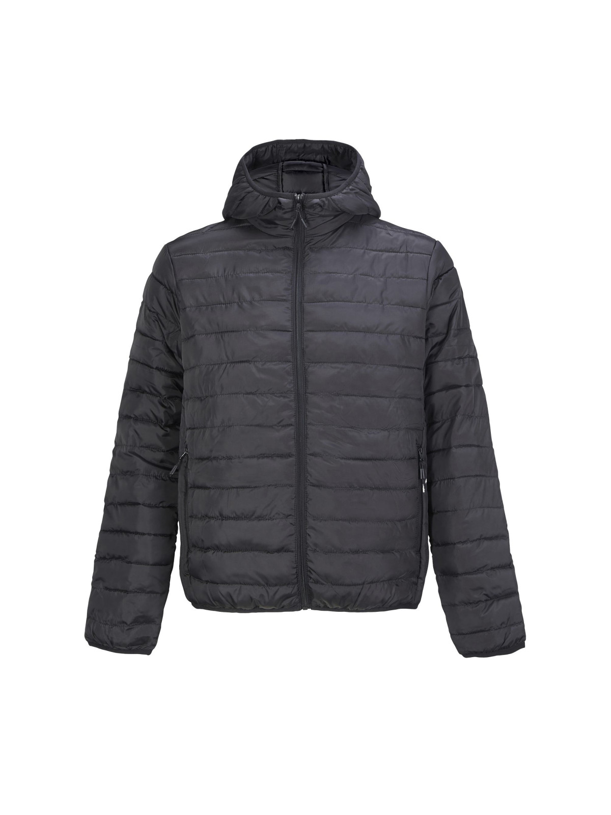 Manteau Stream Hooded Men