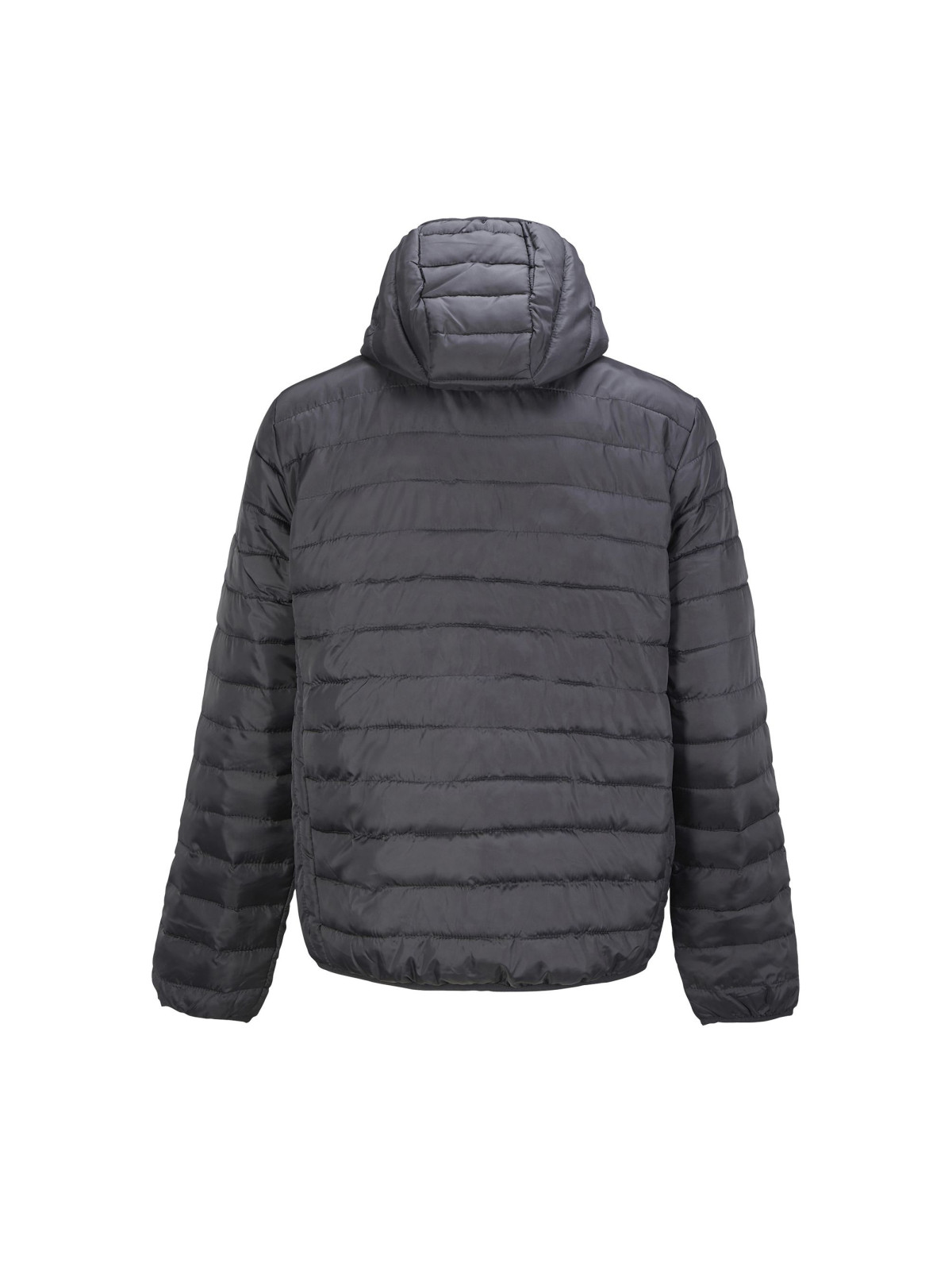 Manteau Stream Hooded Men