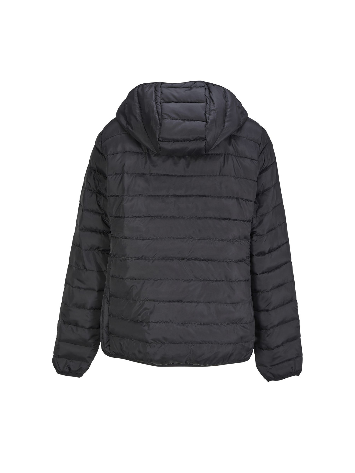 Manteau Stream Hooded Women
