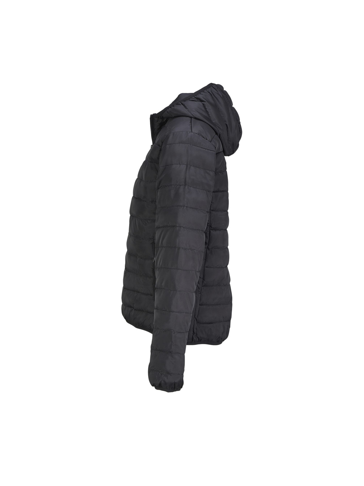 Manteau Stream Hooded Women