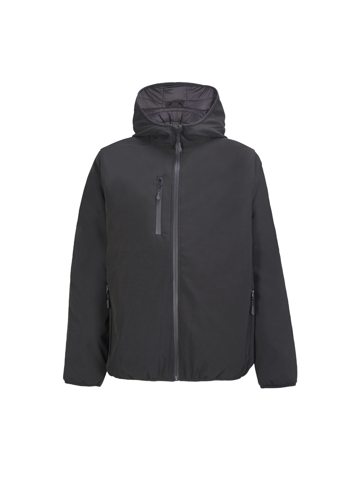 Manteau Falcon Padded Men