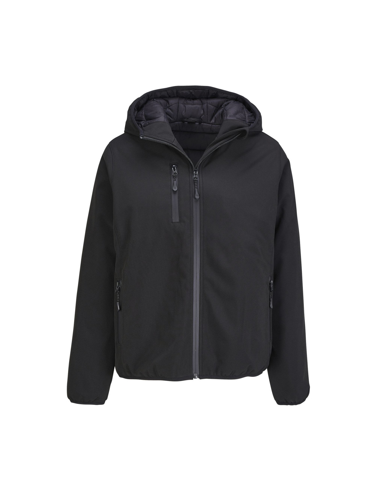 Manteau Falcon Padded Women