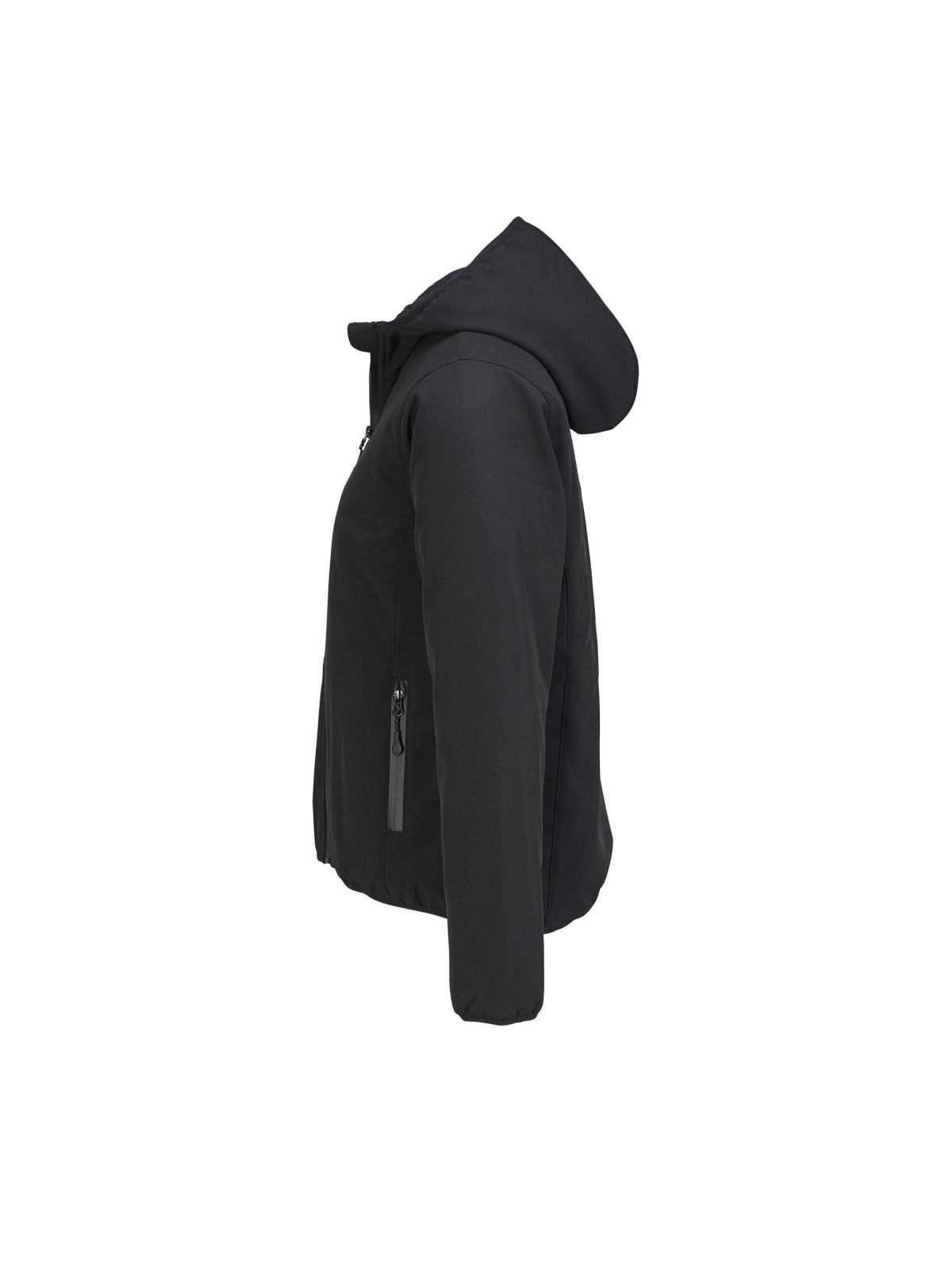 Manteau Falcon Padded Women