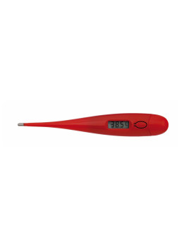 Thermomètre Digital Kelvin