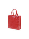 Sac Divia