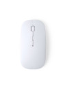 Souris Lyster