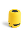 Haut-Parleur Braiss