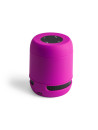 Haut-Parleur Braiss