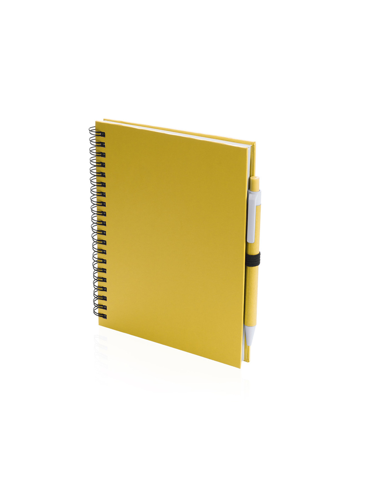 Cahier Koguel