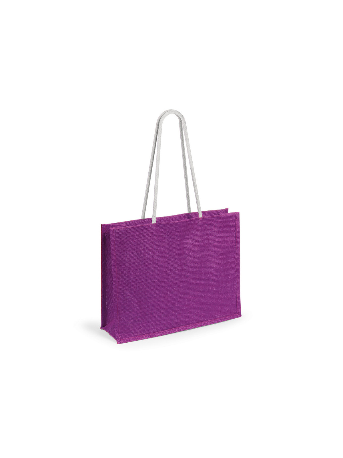 Sac Hintol