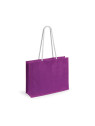 Sac Hintol