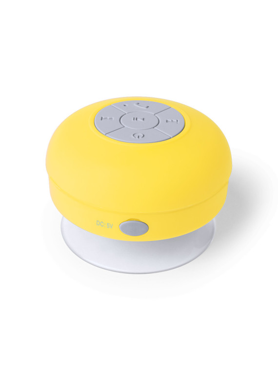 Haut-Parleur Rariax