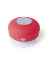 Haut-Parleur Rariax