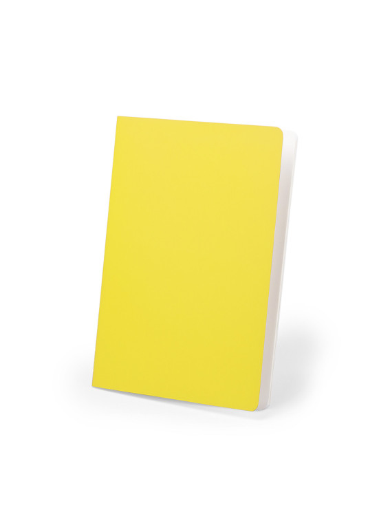 Cahier Dienel