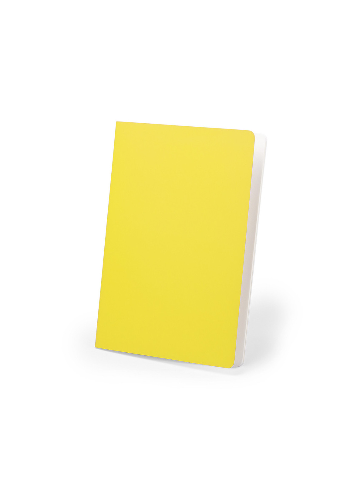 Cahier Dienel