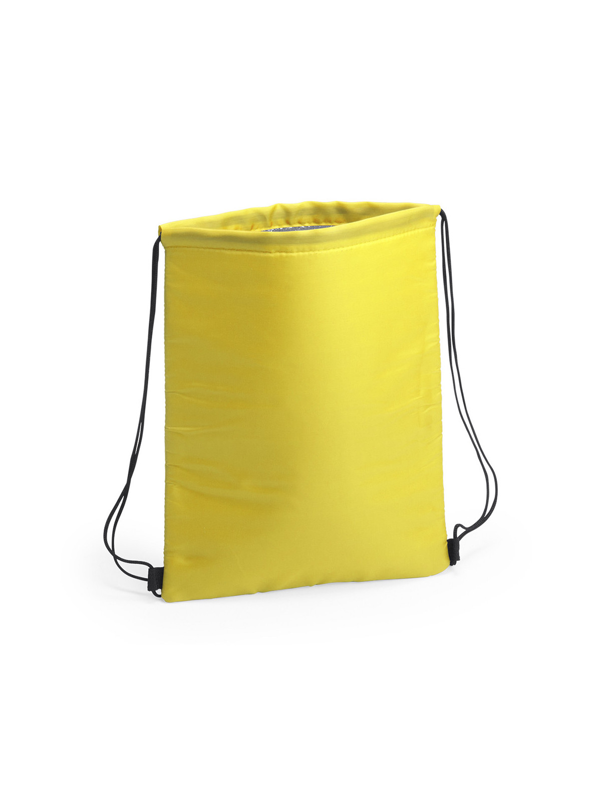 Sac à Dos Glacière Nipex