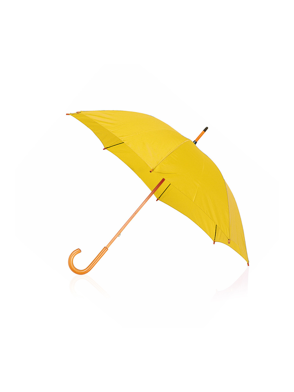 Parapluie Santy