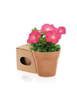 Pot de Fleurs Advert