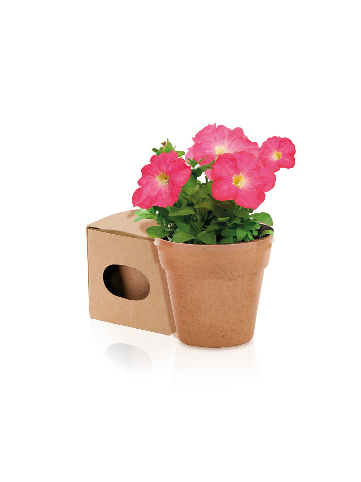 Pot de Fleurs Advert