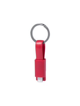 Câble de Charge Holnier